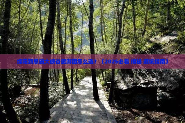 绵阳到恩施大峡谷大型旅游团