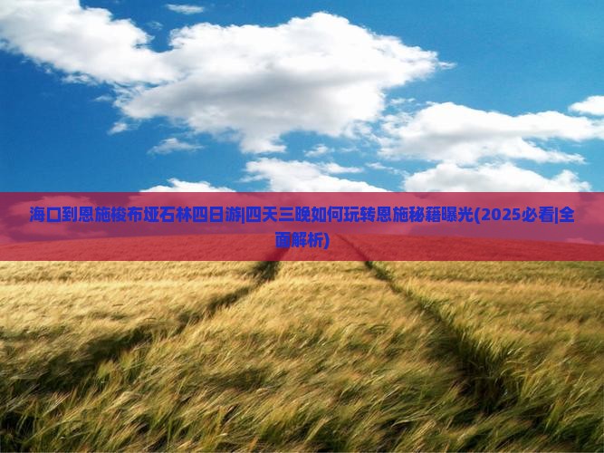 海口到恩施梭布垭石林四日游