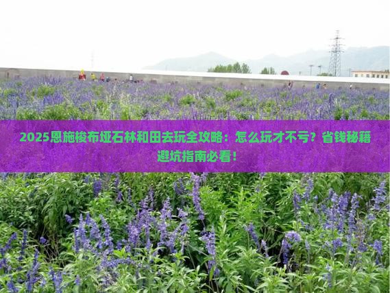 和田去恩施梭布垭石林哪里玩 和田去恩施梭布垭石林哪里玩