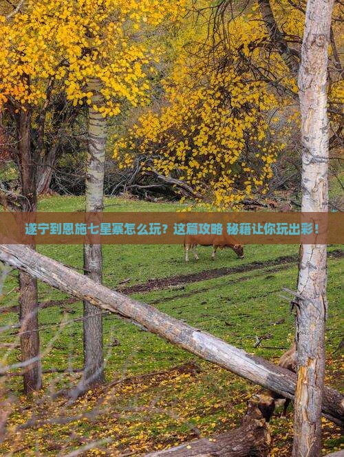 遂宁到恩施七星寨哪里玩