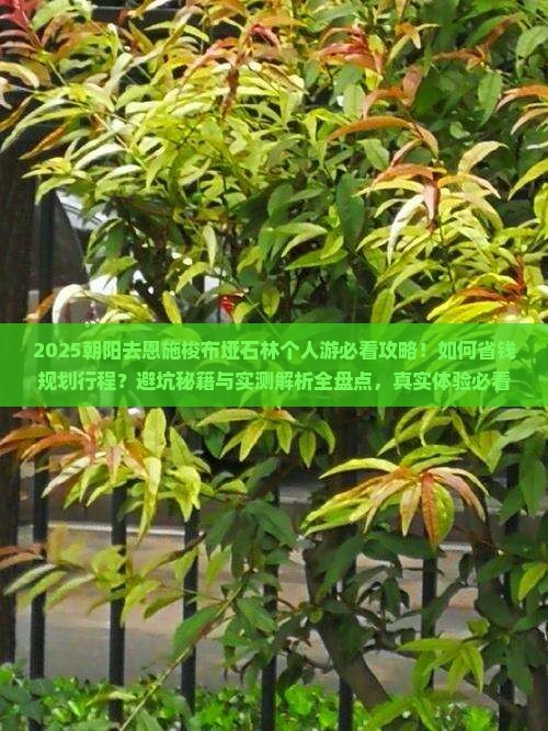 朝阳去恩施梭布垭石林个人游