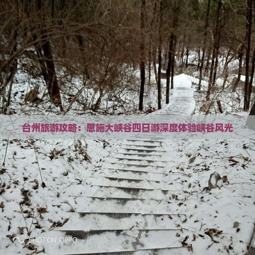 台州去恩施大峡谷四日游