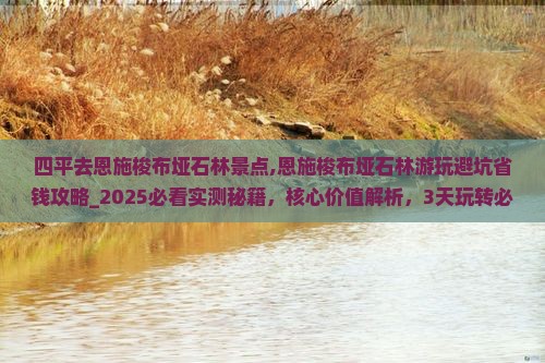 四平去恩施梭布垭石林景点
