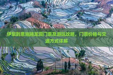 伊犁到恩施腾龙洞门票