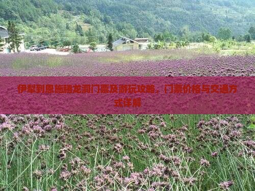 伊犁到恩施腾龙洞门票