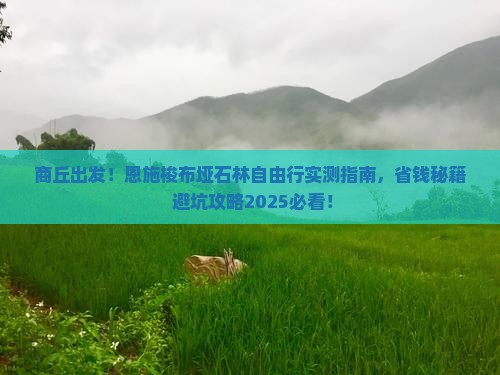 商丘去恩施梭布垭石林自由行