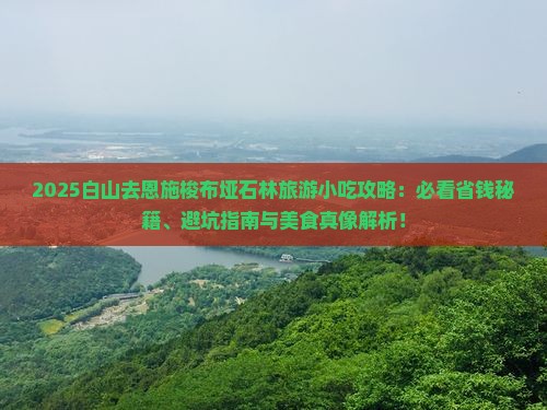 白山去恩施梭布垭石林旅游小吃