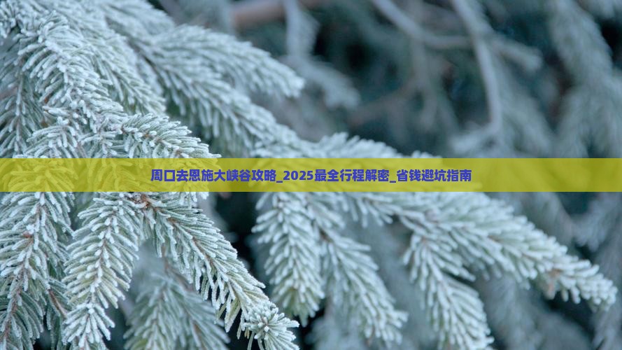 周口去恩施大峡谷攻略