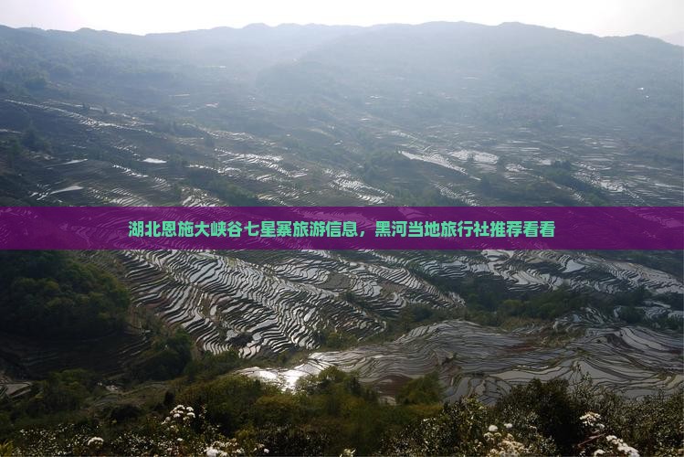 湖北恩施大峡谷七星寨旅游信息，黑河当地旅行社推荐看看