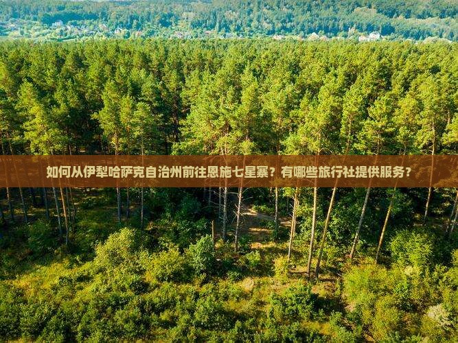 如何从伊犁哈萨克自治州前往恩施七星寨？有哪些旅行社提供服务？