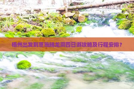 梧州出发到恩施腾龙洞四日游攻略及行程安排？
