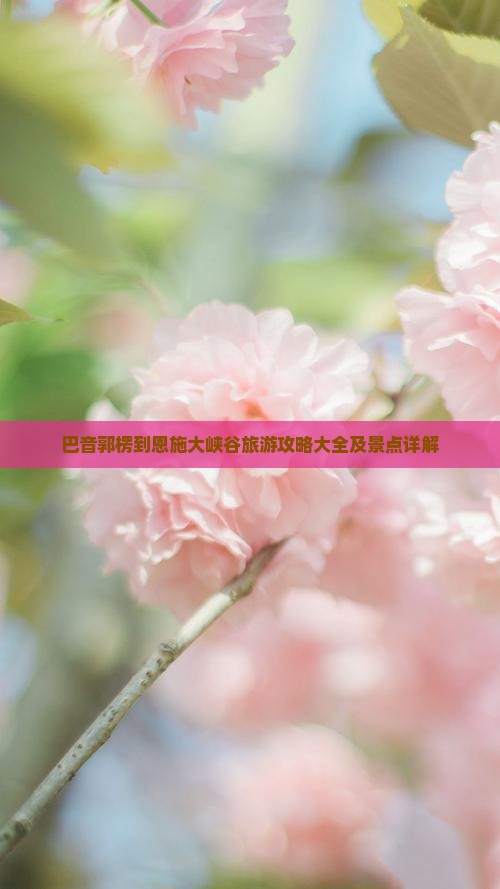 巴音郭楞到恩施大峡谷旅游攻略大全及景点详解