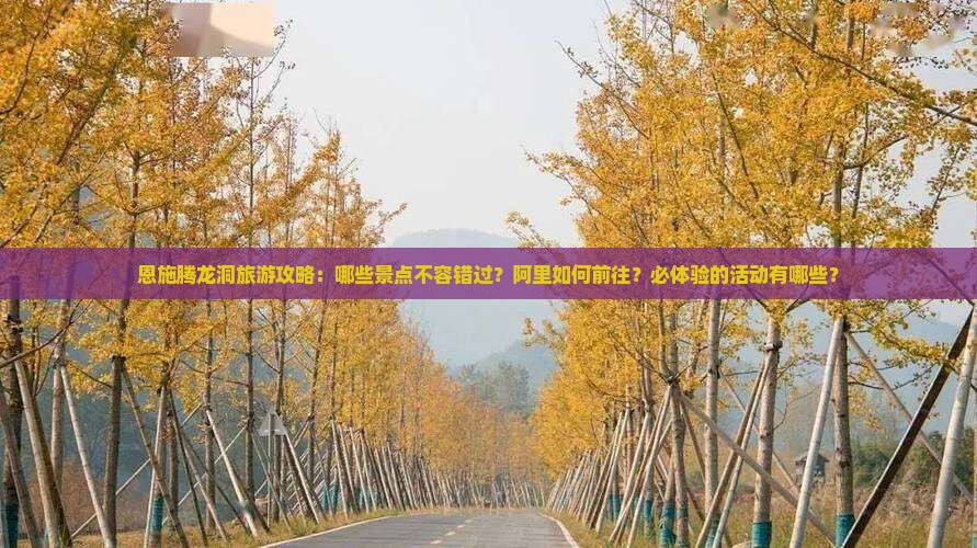 恩施腾龙洞旅游攻略：哪些景点不容错过？阿里如何前往？必体验的活动有哪些？