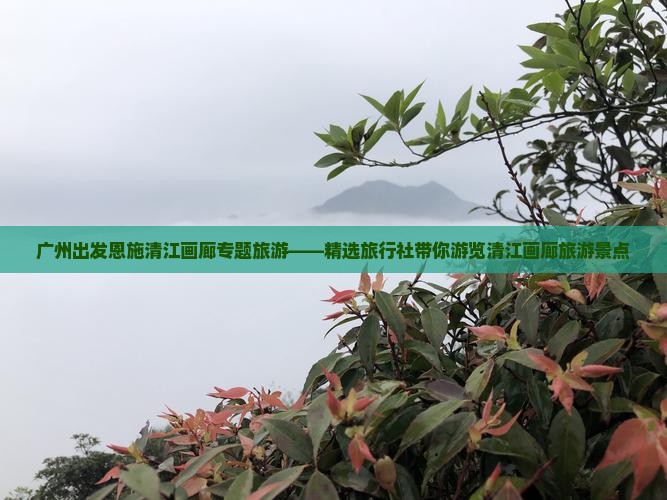 广州出发恩施清江画廊专题旅游——精选旅行社带你游览清江画廊旅游景点