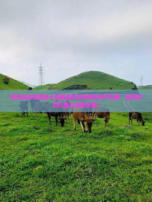 宝鸡出发至恩施七星寨团队游攻略及预订指南，如何规划行程与享受优惠？