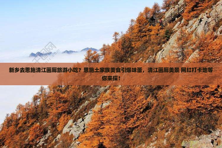 新乡去恩施清江画廊旅游小吃？恩施土家族美食引爆味蕾，清江画廊美景+网红打卡地等你来探！