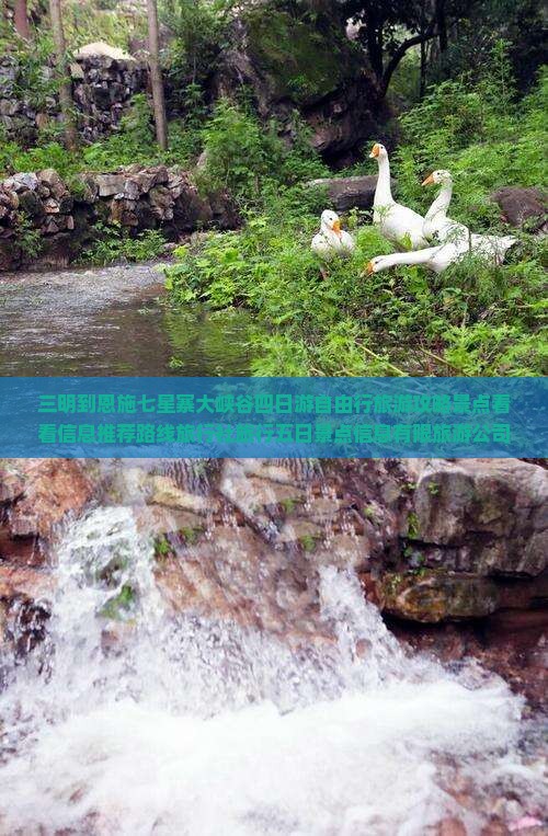 三明到恩施七星寨大峡谷四日游自由行旅游攻略景点看看信息推荐路线旅行社旅行五日景点信息有限旅游公司