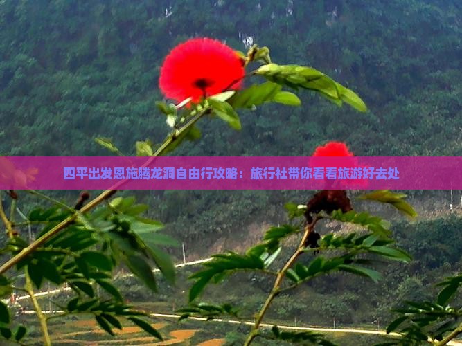四平出发恩施腾龙洞自由行攻略：旅行社带你看看旅游好去处