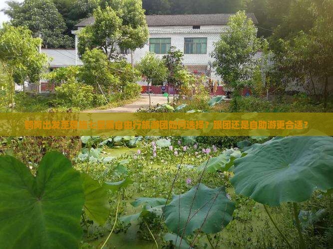 鹤岗出发至恩施七星寨自由行旅游团如何选择？跟团还是自助游更合适？