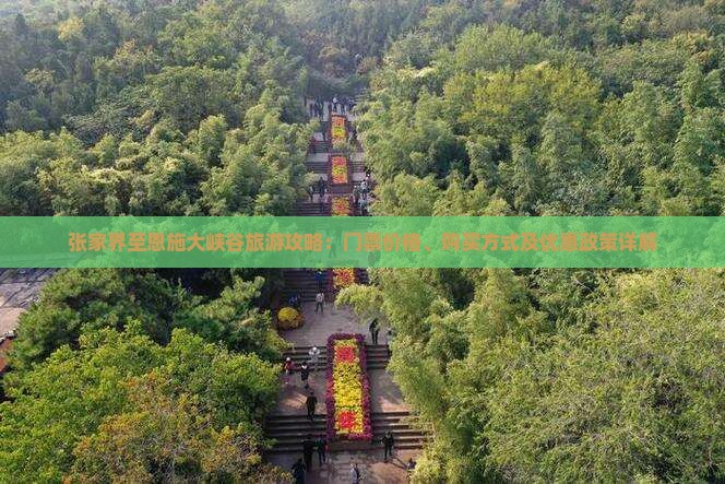 张家界至恩施大峡谷旅游攻略：门票价格、购买方式及优惠政策详解
