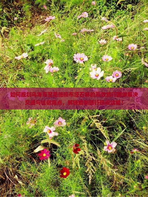 如何规划乌海市至恩施梭布垭石林的高效旅行路峡解决交通与住宿痛点，解锁最新旅行热词攻略！