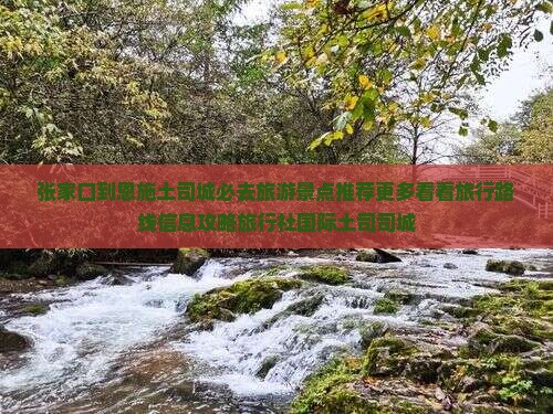 张家口到恩施土司城必去旅游景点推荐更多看看旅行路线信息攻略旅行社国际土司司城