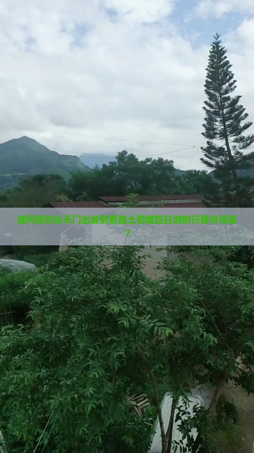 如何规划从天门出发到恩施土司城四日游的行程与预算？
