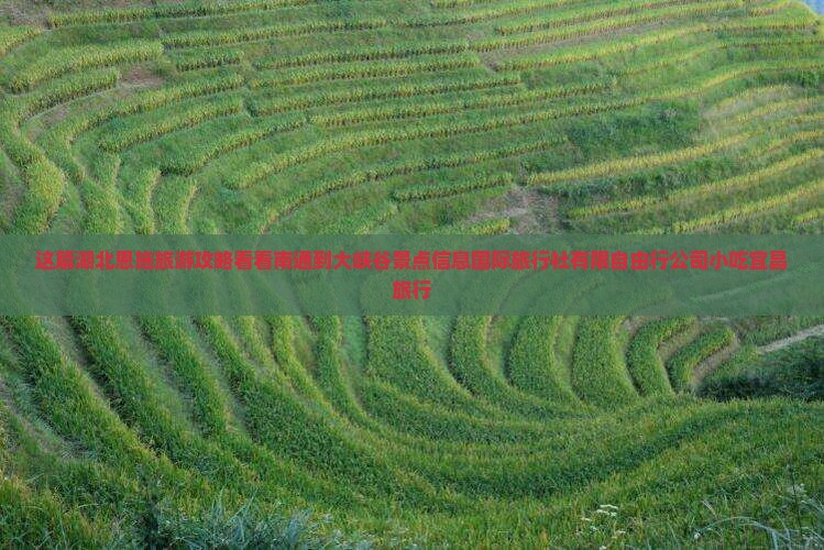这篇湖北恩施旅游攻略看看南通到大峡谷景点信息国际旅行社有限自由行公司小吃宜昌旅行