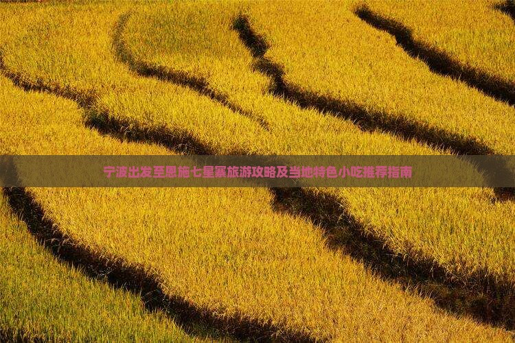 宁波出发至恩施七星寨旅游攻略及当地特色小吃推荐指南