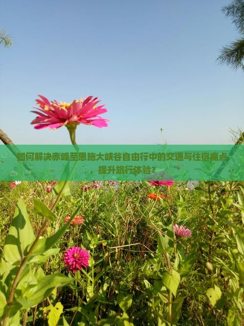 如何解决赤峰至恩施大峡谷自由行中的交通与住宿痛点，提升旅行体验？