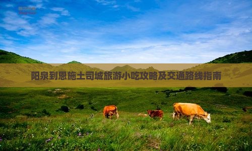 阳泉到恩施土司城旅游小吃攻略及交通路线指南