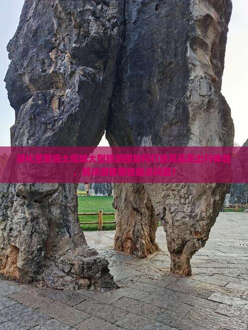 绥化至恩施土司城大型旅游团如何打造高品质出行体验，解决游客哪些痛点问题？