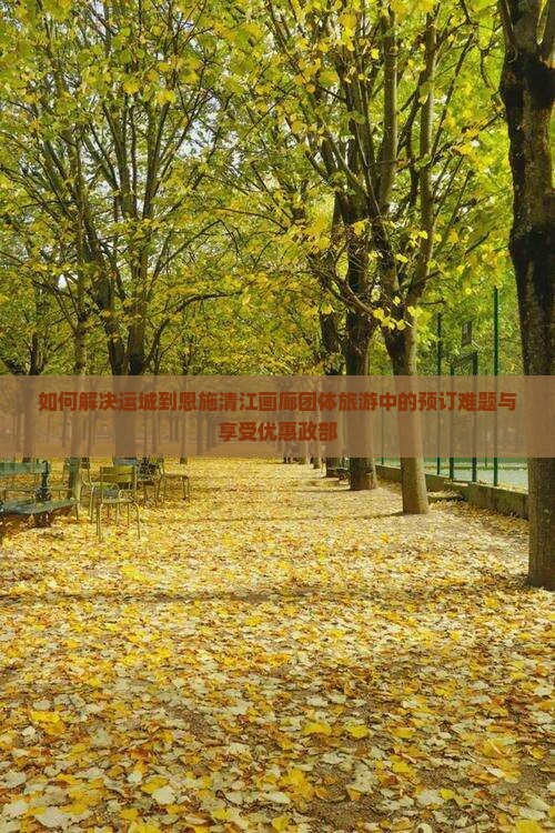 如何解决运城到恩施清江画廊团体旅游中的预订难题与享受优惠政部