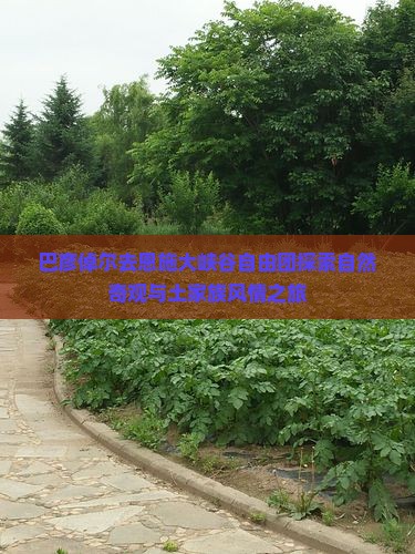 巴彦倬尔去恩施大峡谷自由团探索自然奇观与土家族风情之旅