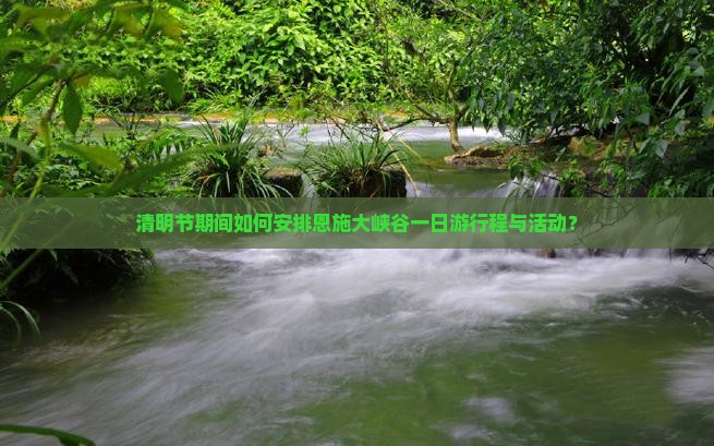 清明节期间如何安排恩施大峡谷一日游行程与活动？
