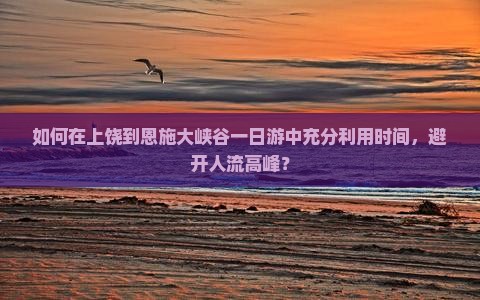 如何在上饶到恩施大峡谷一日游中充分利用时间，避开人流高峰？