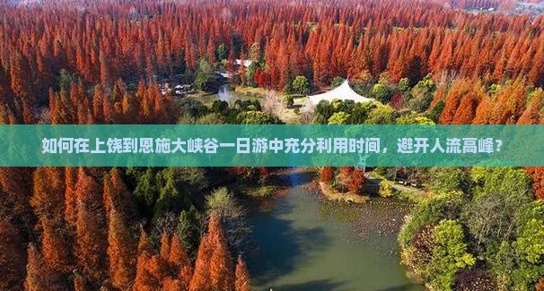 如何在上饶到恩施大峡谷一日游中充分利用时间，避开人流高峰？