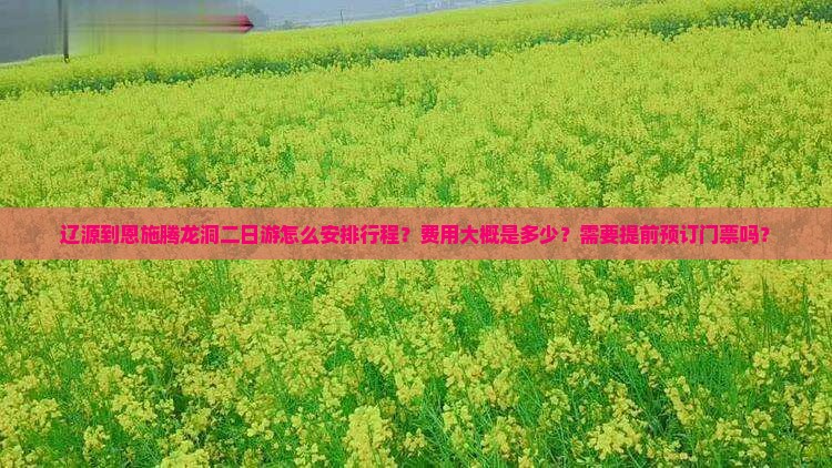 辽源到恩施腾龙洞二日游怎么安排行程？费用大概是多少？需要提前预订门票吗？