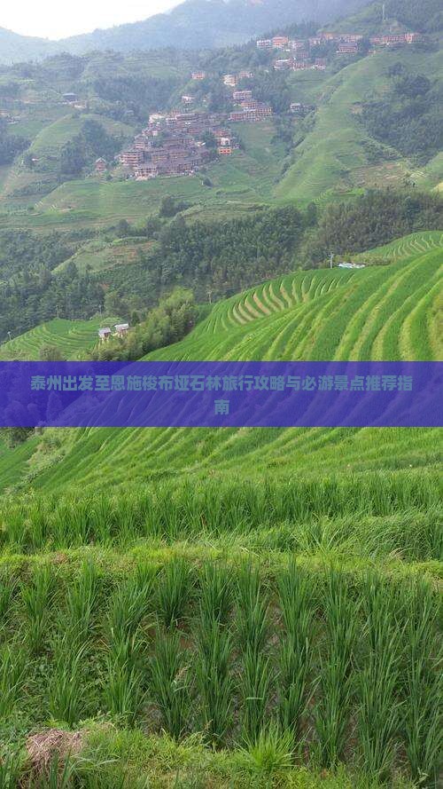泰州出发至恩施梭布垭石林旅行攻略与必游景点推荐指南