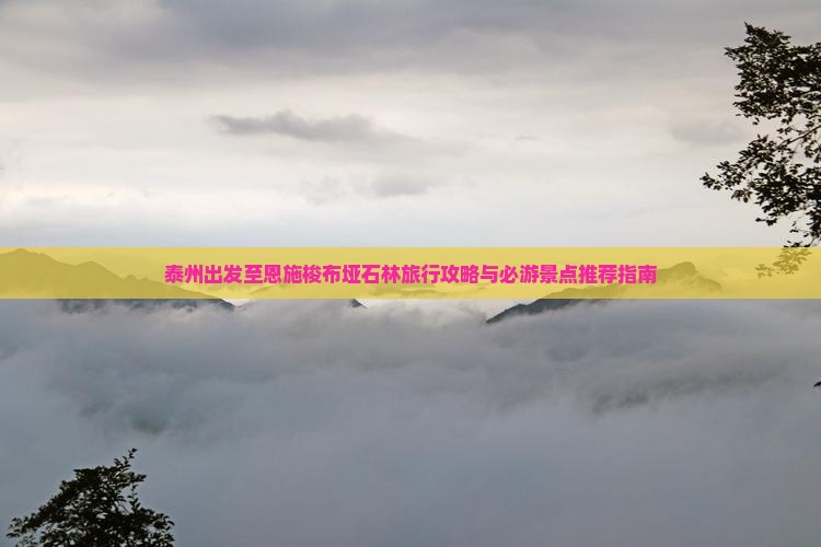 泰州出发至恩施梭布垭石林旅行攻略与必游景点推荐指南