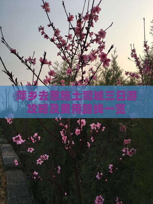 萍乡去恩施土司城三日游攻略及费用路线一览