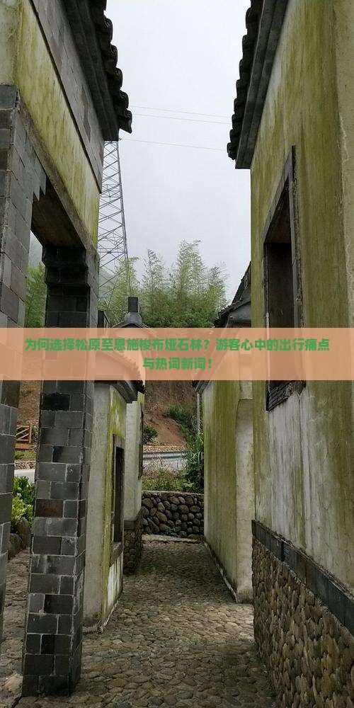为何选择松原至恩施梭布垭石林？游客心中的出行痛点与热词新词！