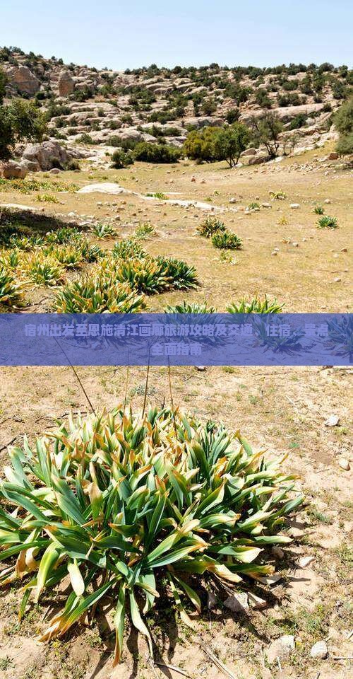 宿州出发至恩施清江画廊旅游攻略及交通、住宿、景点全面指南