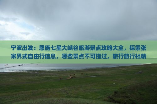 宁波出发：恩施七星大峡谷旅游景点攻略大全，探索张家界式自由行信息，哪些景点不可错过，旅行旅行社精选攻略