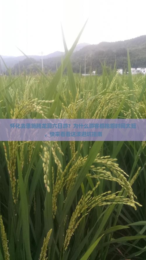 怀化去恩施腾龙洞六日游？为什么游客都抱怨时间太短，快来看看这波避坑指南