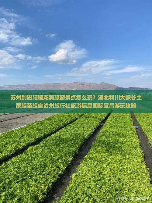 苏州到恩施腾龙洞旅游景点怎么玩？湖北利川大峡谷土家族苗族自治州旅行社旅游信息国际宜昌游玩攻略
