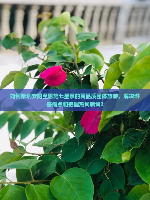 如何策划安阳至恩施七星寨的高品质团体旅游，解决游客痛点和把握热词新词？