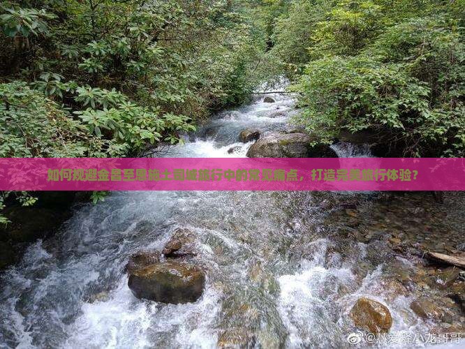 如何规避金昌至恩施土司城旅行中的常见痛点，打造完美旅行体验？