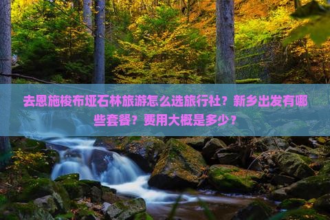 去恩施梭布垭石林旅游怎么选旅行社？新乡出发有哪些套餐？费用大概是多少？