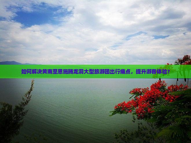 如何解决黄南至恩施腾龙洞大型旅游团出行痛点，提升游客体验？